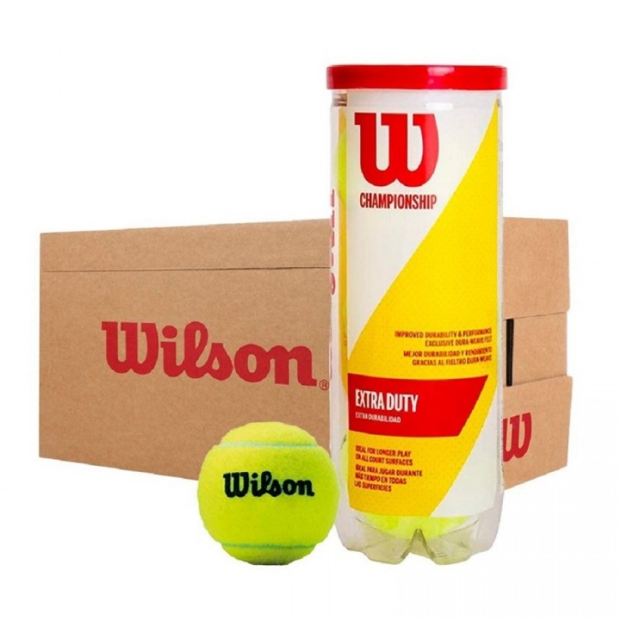 Cajon 72 Pelotas - 24 Botes de 3 uds - Wilson Championship Extra Duty  Offerta + Economico