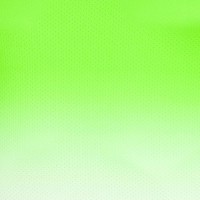Camiseta Bidi Badu Crew Gradiant Verde Neon Blanco  Offerta + Economico