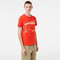 Lacoste Novak Djokovic T-shirt arancione  Offerta + Economico