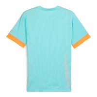 Puma Individual Maglietta Blu  Offerta + Economico