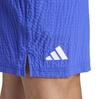 Pantaloncini Adidas Ergo Pro Blu  Offerta + Economico