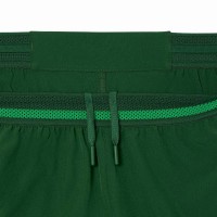 Pantaloncini Lacoste Novak Djokovic Tenis Verde  Offerta + Economico