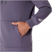 Asics Felpa Betulla Grigio Viola  Offerta + Economico